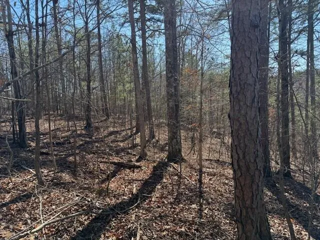 10385 S Pittsburg Mountain Road South Pittsburg, TN 37380