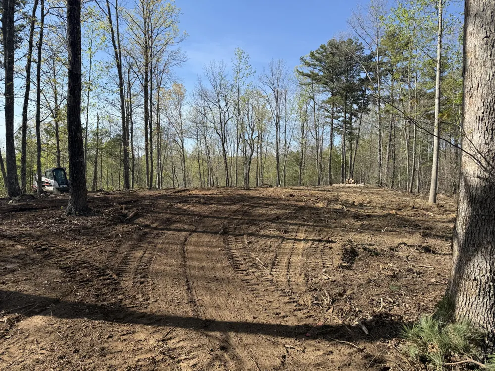 10385 S Pittsburg Mountain Road South Pittsburg, TN 37380