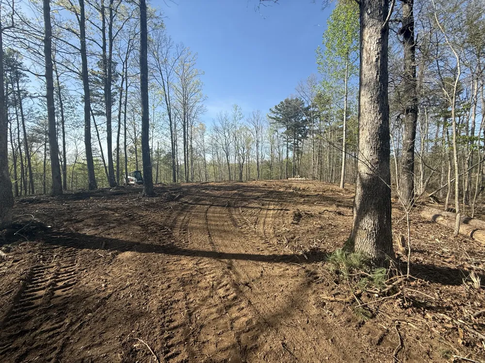10385 S Pittsburg Mountain Road South Pittsburg, TN 37380