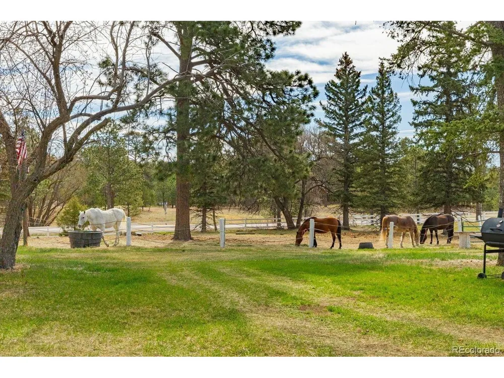 13354 Meridian Road Elbert, CO 80106