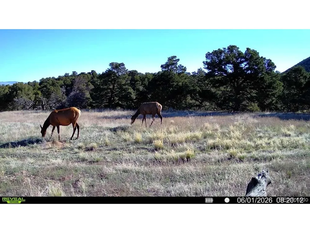 County Road 560 Gardner, CO 81040