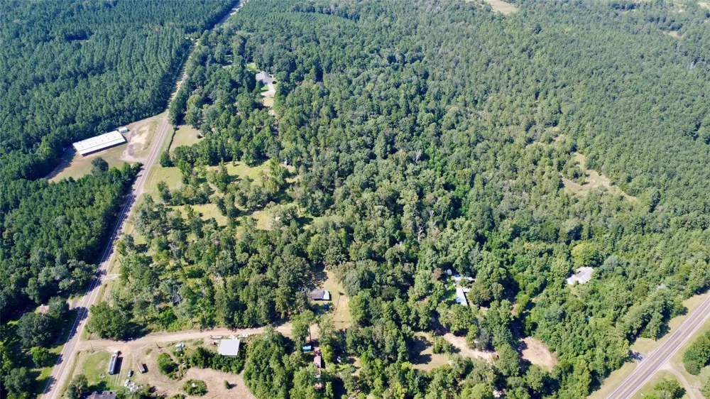 276 Fm 692 Burkeville, TX 75932