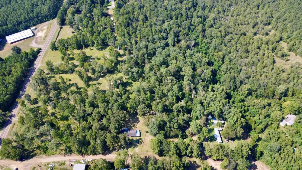 276 Fm 692 Burkeville, TX 75932