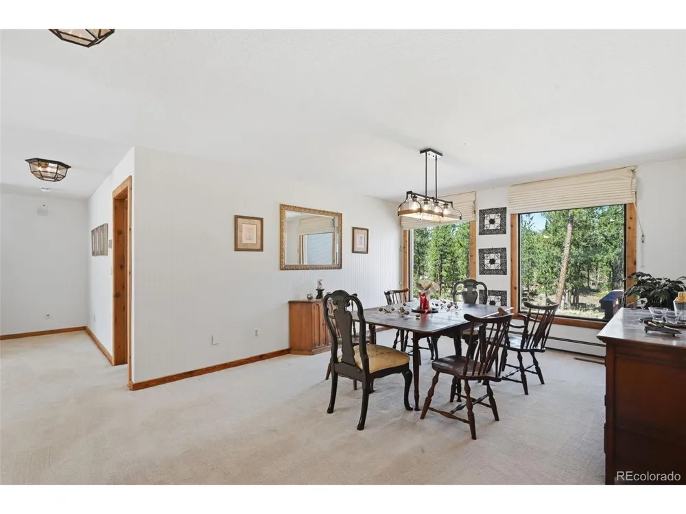 107 Ox Yoke Lane Bailey, CO 80421