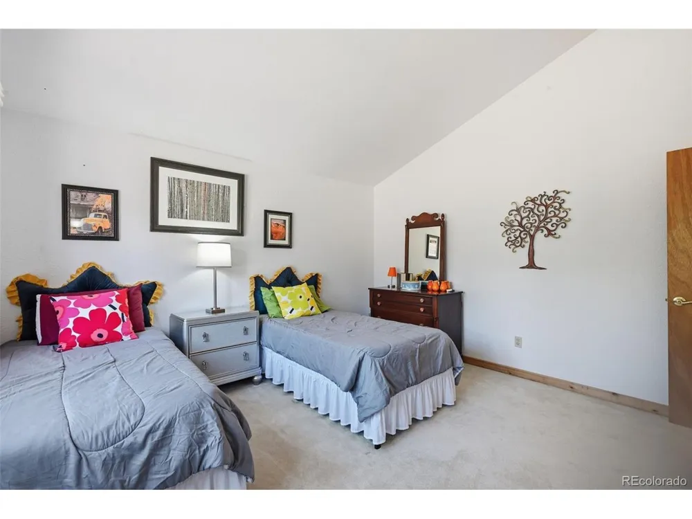 107 Ox Yoke Lane Bailey, CO 80421