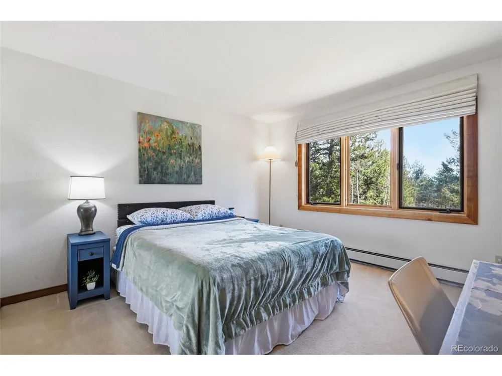107 Ox Yoke Lane Bailey, CO 80421