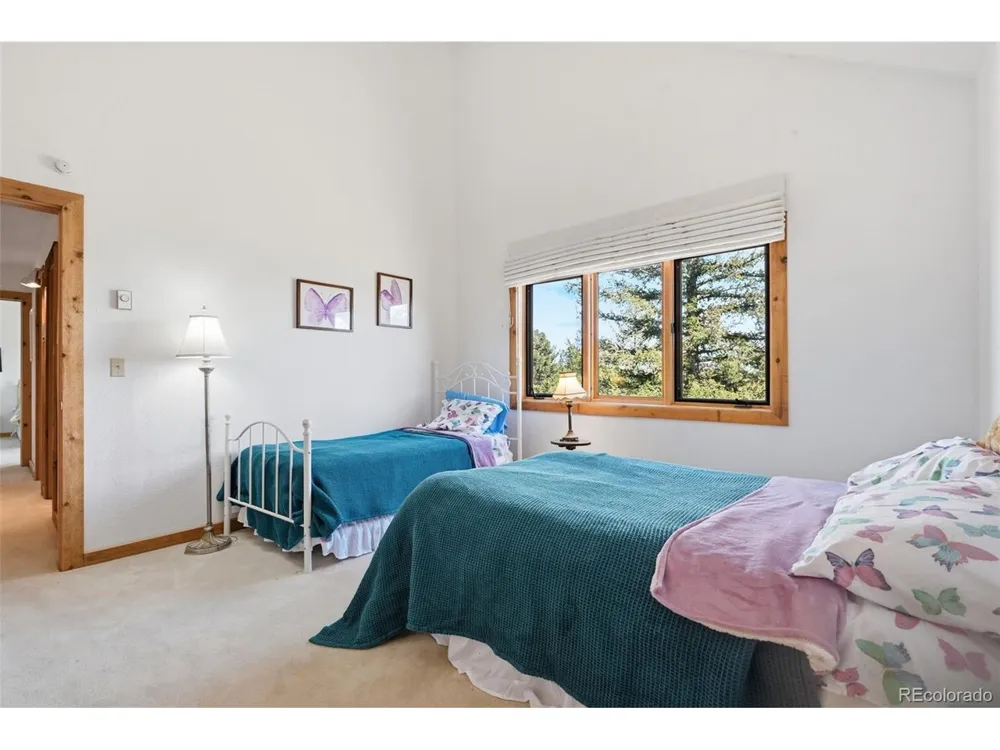 107 Ox Yoke Lane Bailey, CO 80421