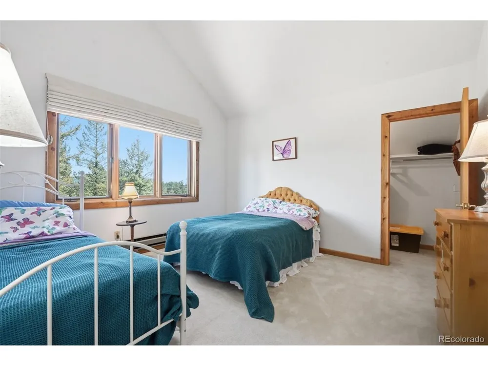 107 Ox Yoke Lane Bailey, CO 80421