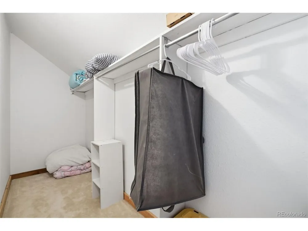 107 Ox Yoke Lane Bailey, CO 80421