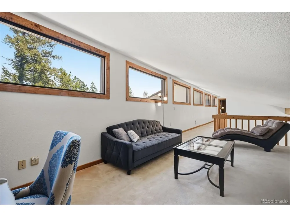 107 Ox Yoke Lane Bailey, CO 80421