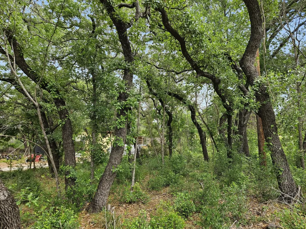 2706 Pace Bend Road S Spicewood, TX 78669
