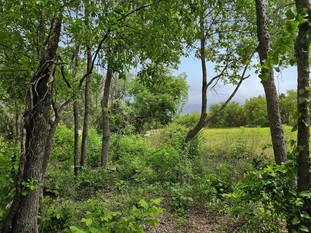 2706 Pace Bend Road S Spicewood, TX 78669