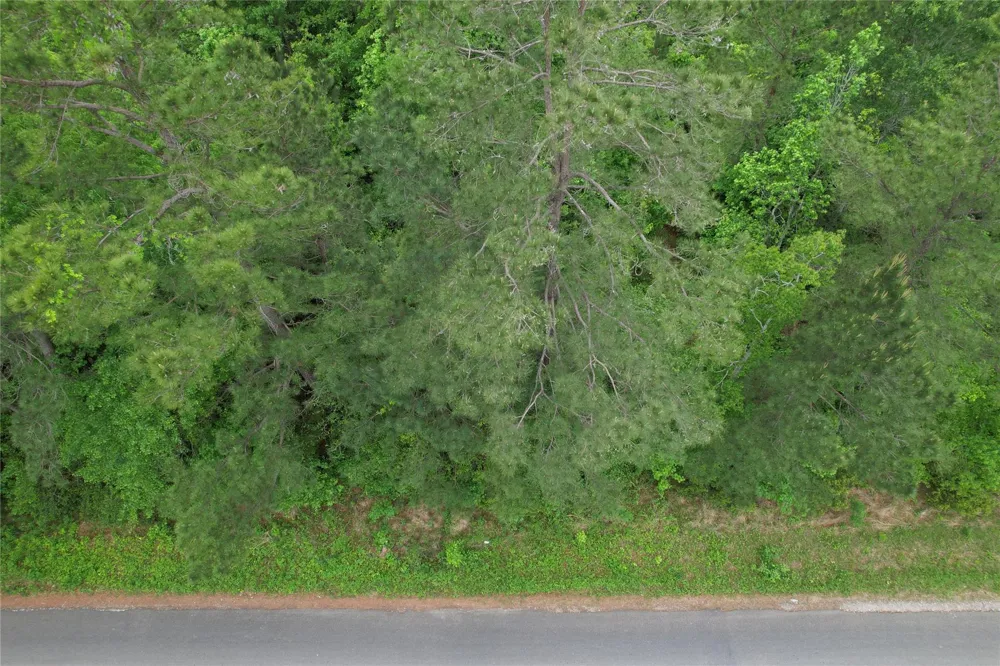 Eastepp Road Livingston, TX 77351