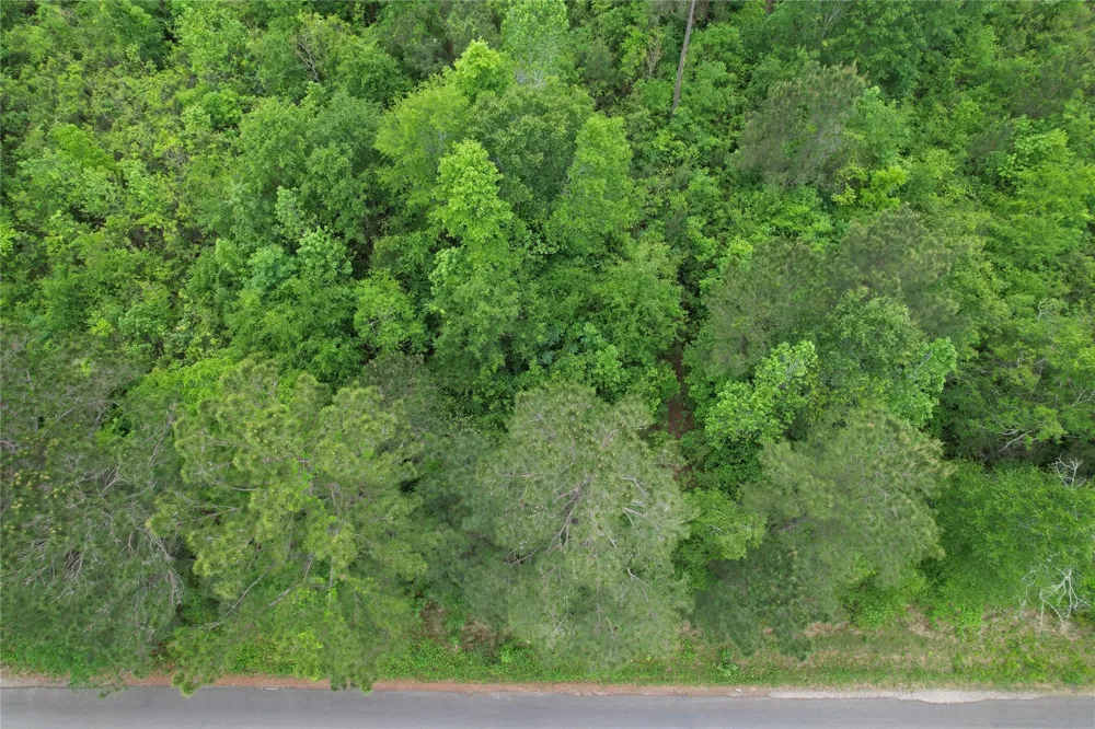 Eastepp Road Livingston, TX 77351