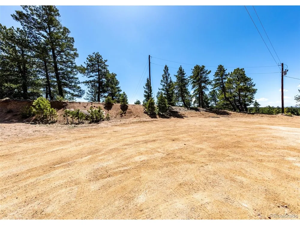 110 La Abu Trail Florissant, CO 80816