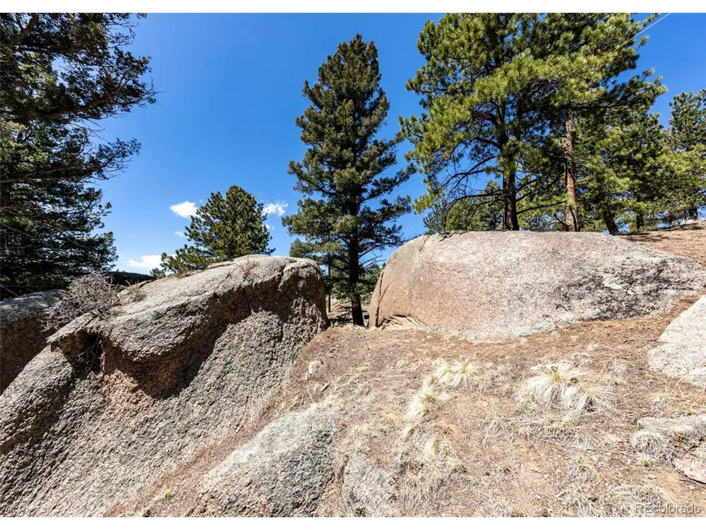 110 La Abu Trail Florissant, CO 80816