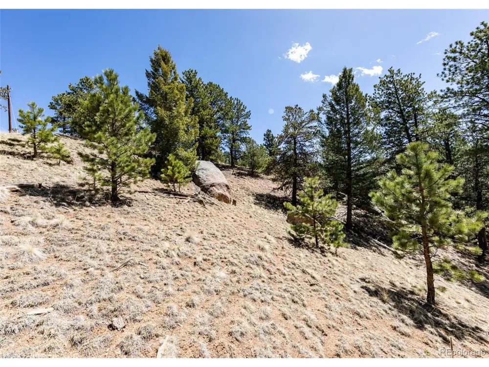 110 La Abu Trail Florissant, CO 80816