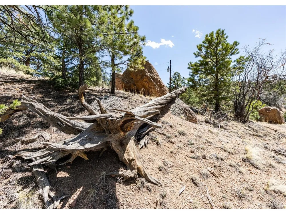 110 La Abu Trail Florissant, CO 80816