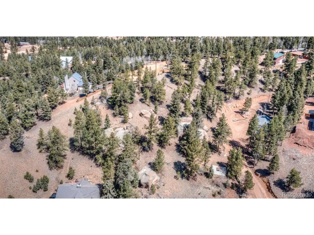 110 La Abu Trail Florissant, CO 80816