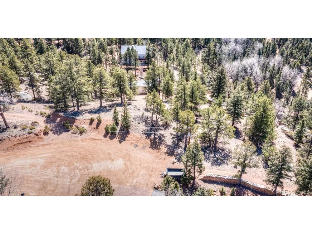 110 La Abu Trail Florissant, CO 80816