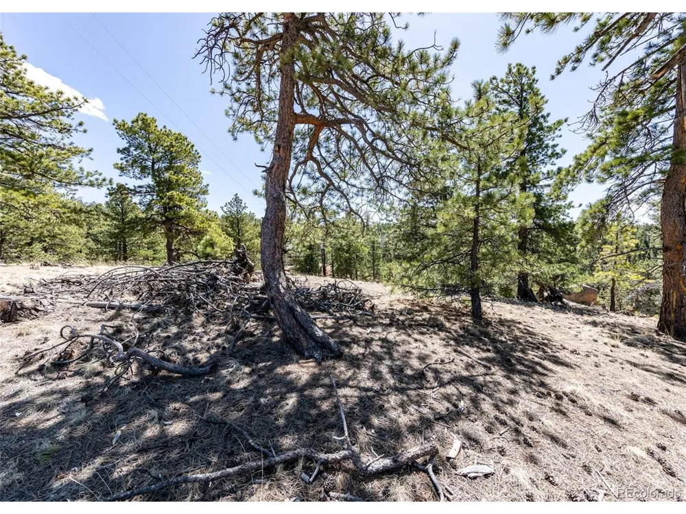 110 La Abu Trail Florissant, CO 80816