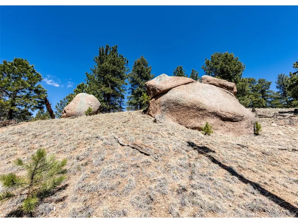 110 La Abu Trail Florissant, CO 80816