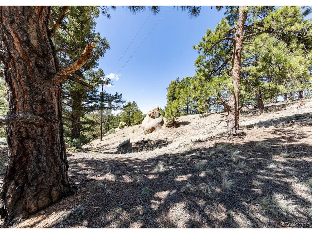 110 La Abu Trail Florissant, CO 80816
