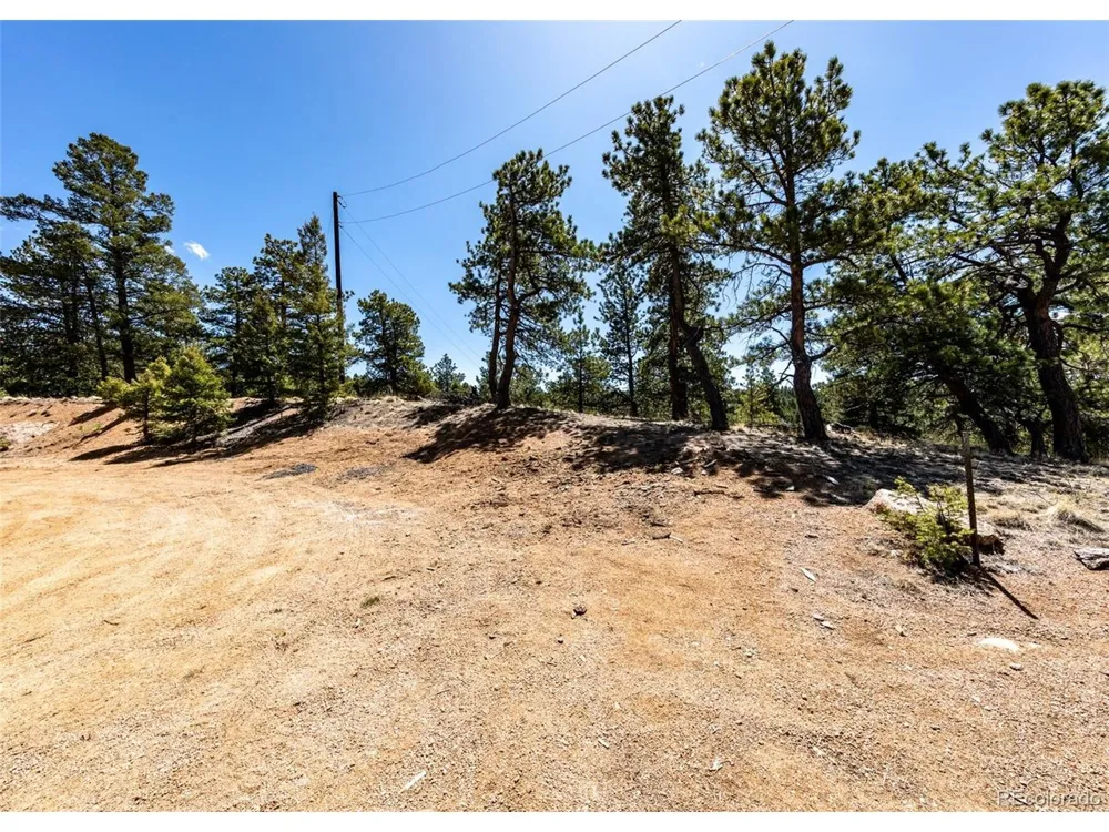 110 La Abu Trail Florissant, CO 80816