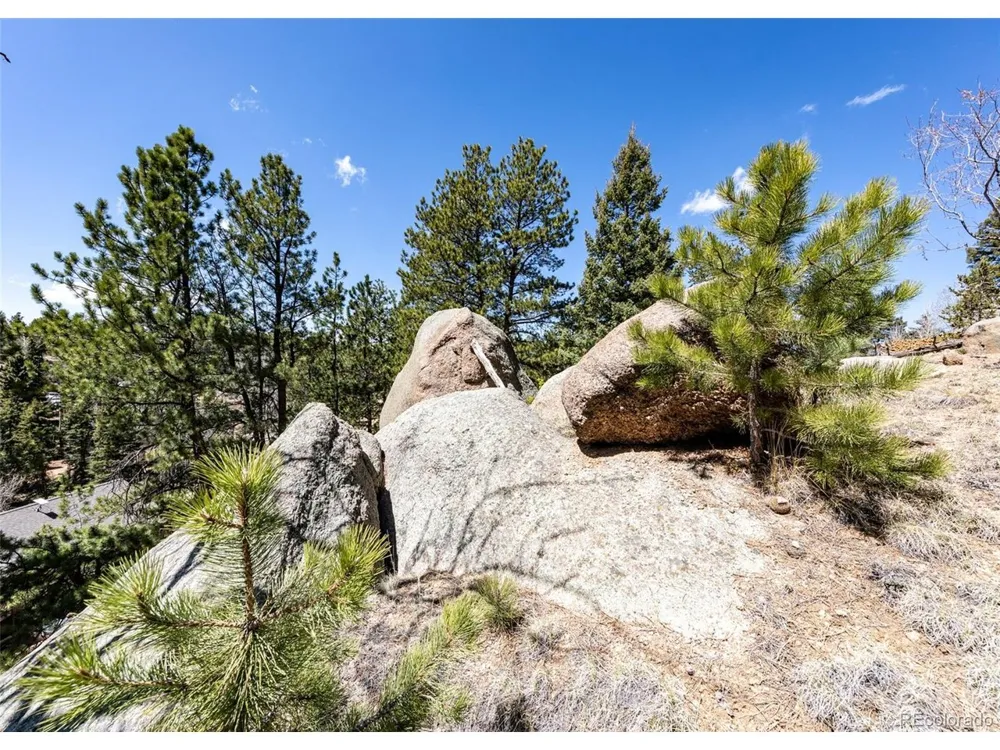 110 La Abu Trail Florissant, CO 80816