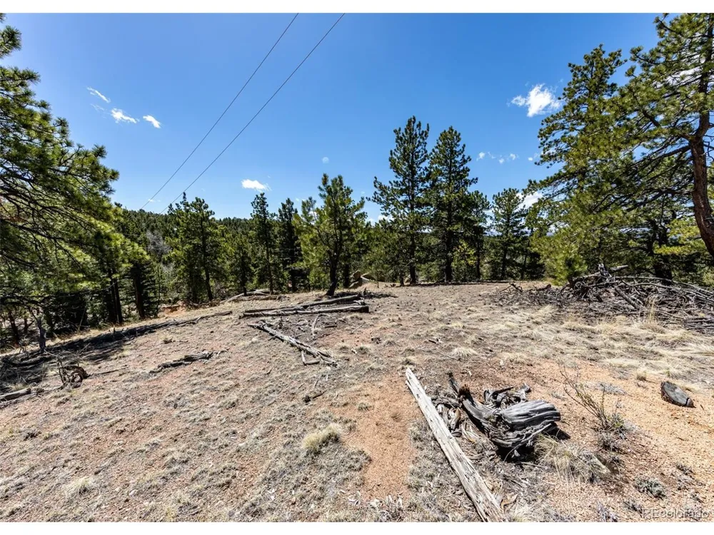 110 La Abu Trail Florissant, CO 80816