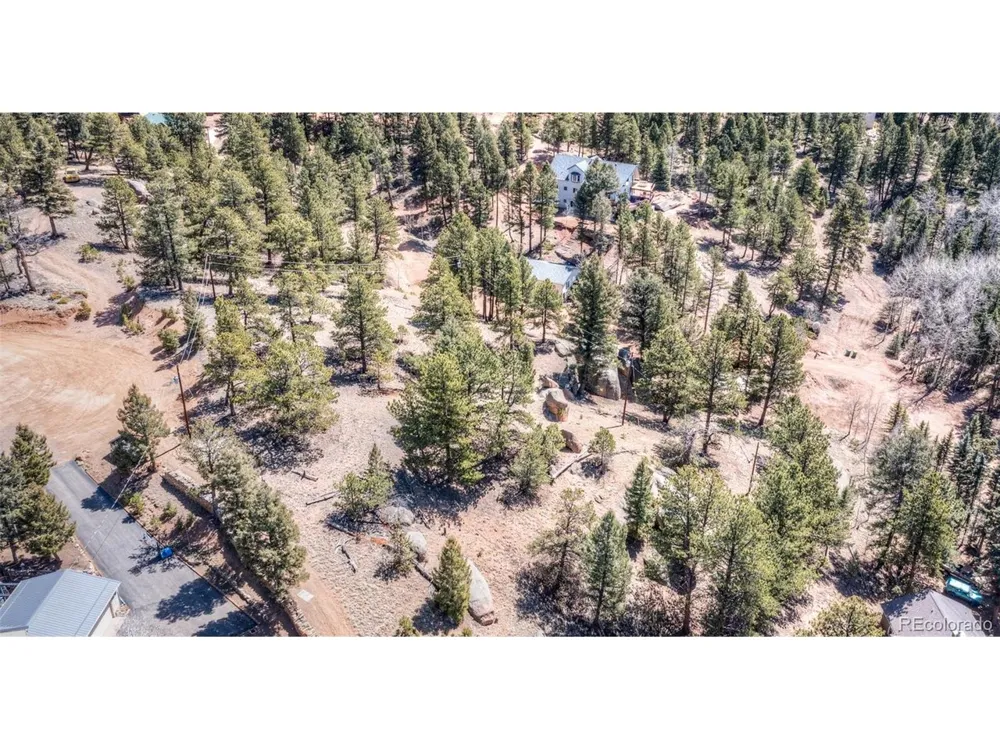 110 La Abu Trail Florissant, CO 80816