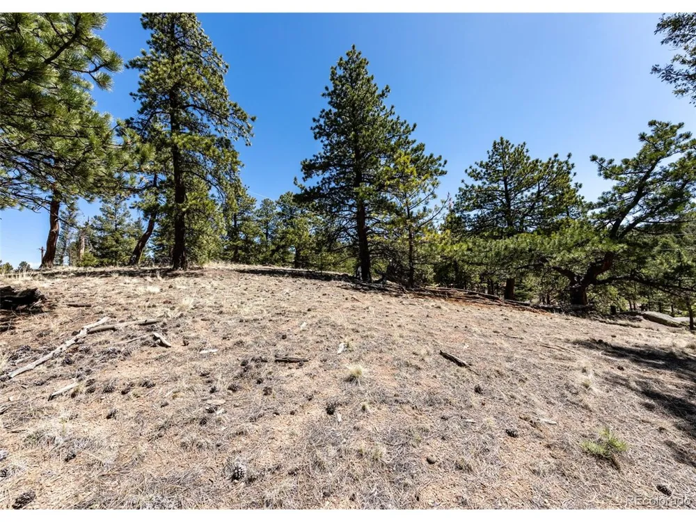 110 La Abu Trail Florissant, CO 80816