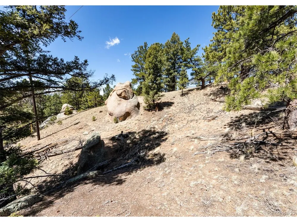 110 La Abu Trail Florissant, CO 80816