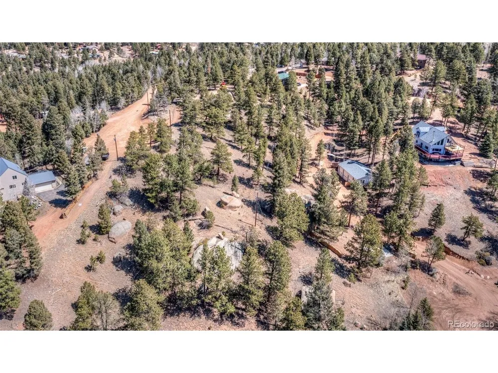 110 La Abu Trail Florissant, CO 80816