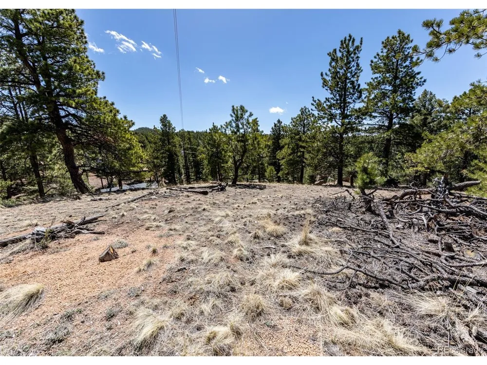 110 La Abu Trail Florissant, CO 80816