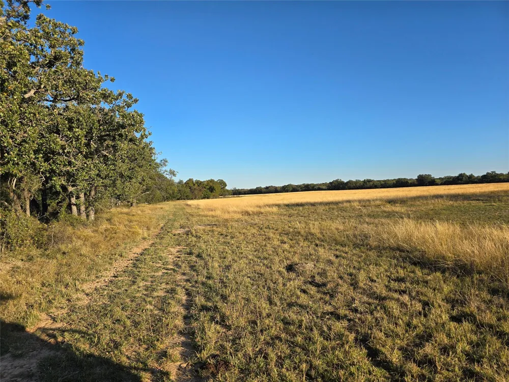7202 Us Highway 84 Coleman, TX 76834