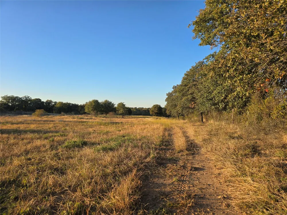 7202 Us Highway 84 Coleman, TX 76834