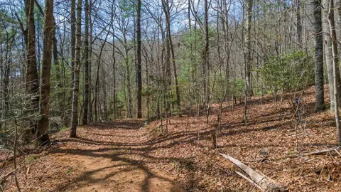 Woodland Cove