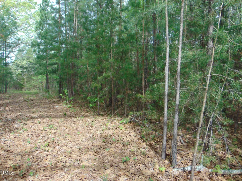 4 Park Springs Road Providence, NC 27315