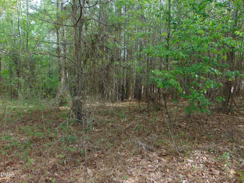 4 Park Springs Road Providence, NC 27315