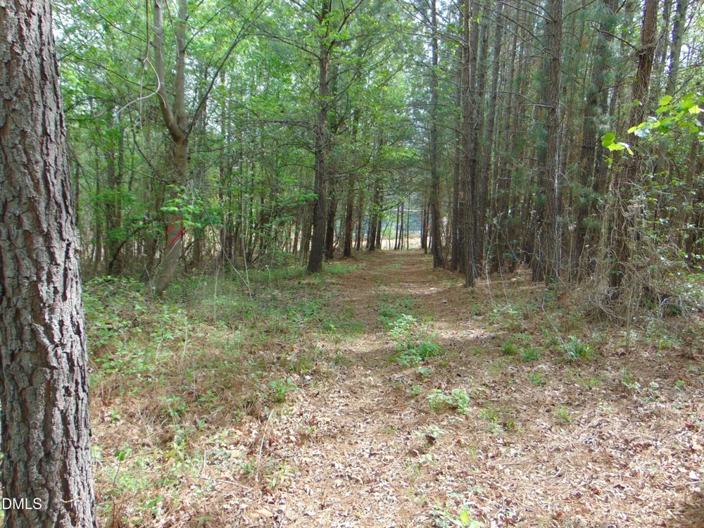 4 Park Springs Road Providence, NC 27315