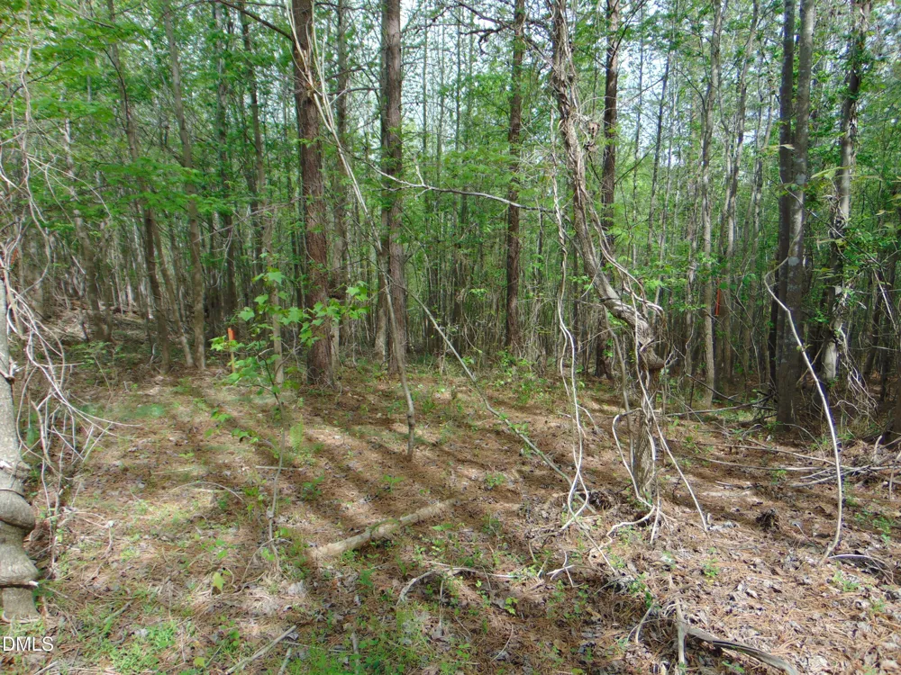 4 Park Springs Road Providence, NC 27315