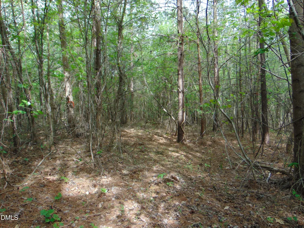 4 Park Springs Road Providence, NC 27315