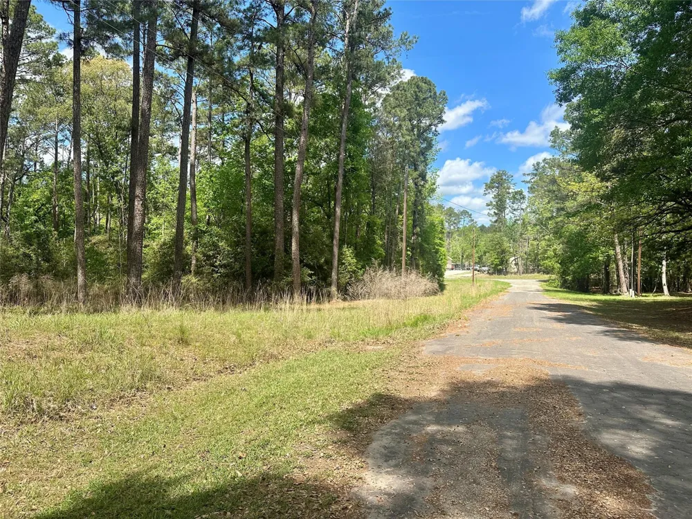 Belladonna Drive Onalaska, TX 77360