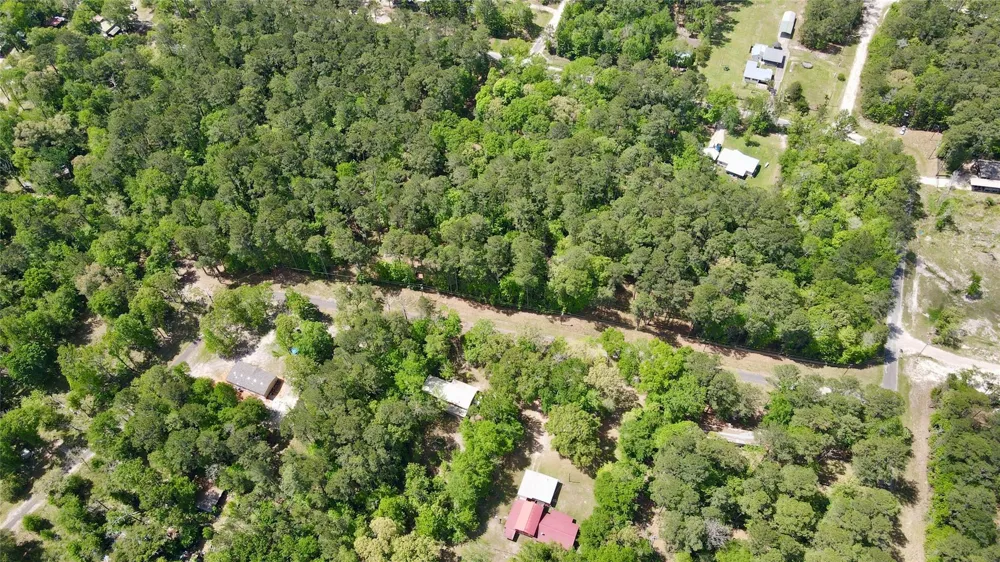 Belladonna Drive Onalaska, TX 77360