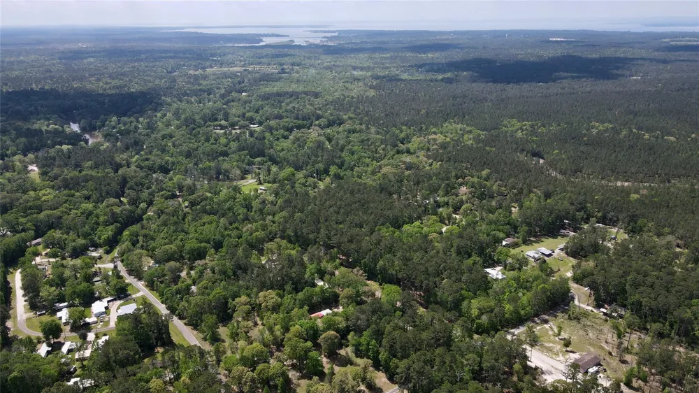 Belladonna Drive Onalaska, TX 77360
