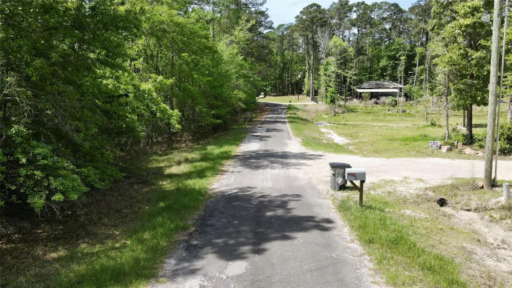 Belladonna Drive Onalaska, TX 77360