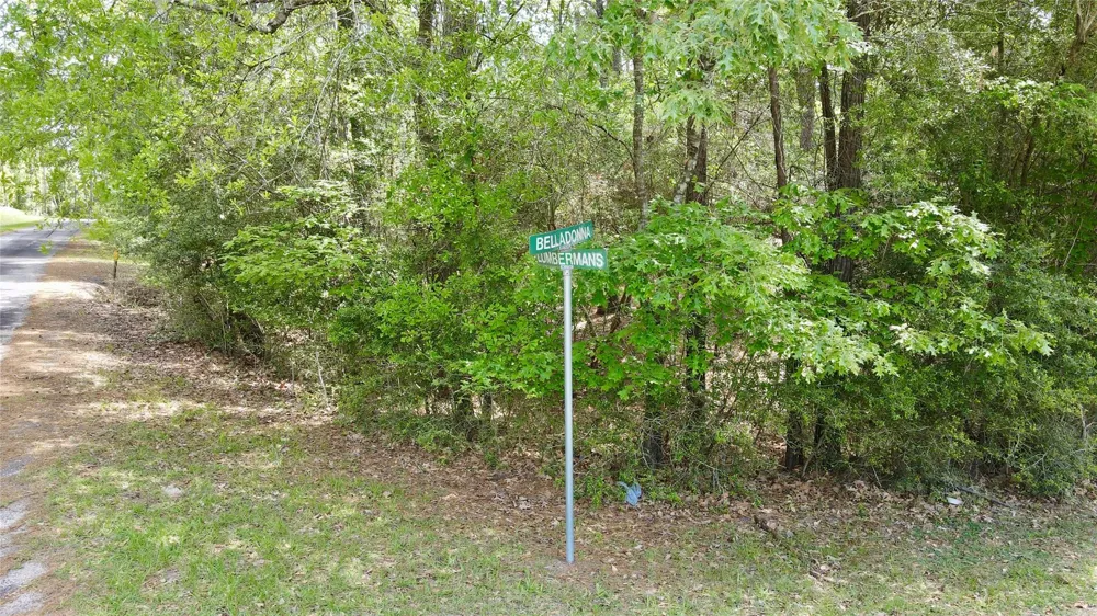 Belladonna Drive Onalaska, TX 77360