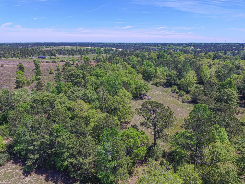 280 Waka Livingston, TX 77351