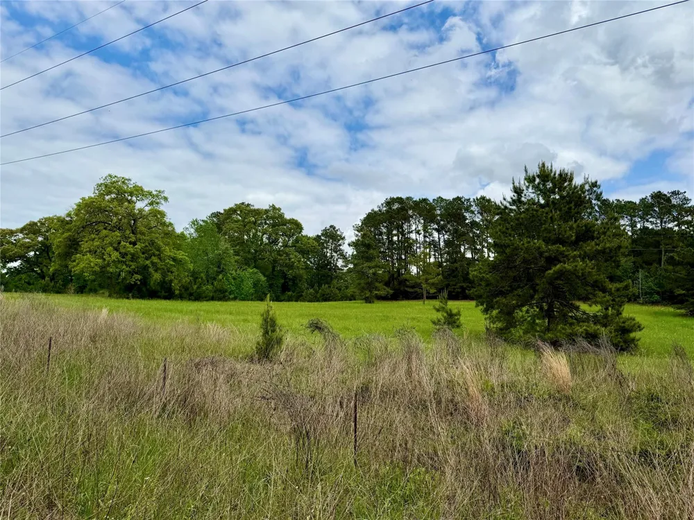 280 Waka Livingston, TX 77351